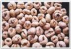 Soybean Isoflavonesextract